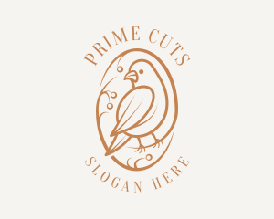 Bird Branch Aviary logo design