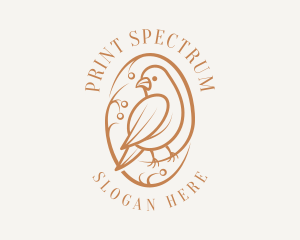 Bird Branch Aviary logo design