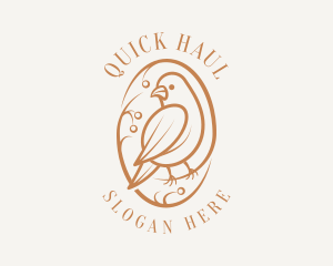 Bird Branch Aviary logo design