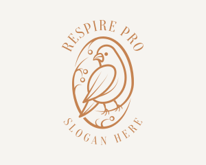 Bird Branch Aviary logo design