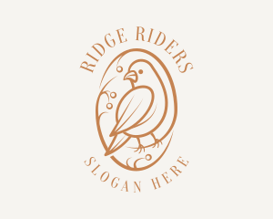 Bird Branch Aviary logo design