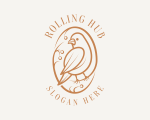 Bird Branch Aviary logo design