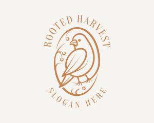 Bird Branch Aviary logo design