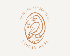 Bird Branch Aviary logo design