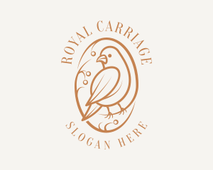 Bird Branch Aviary logo design