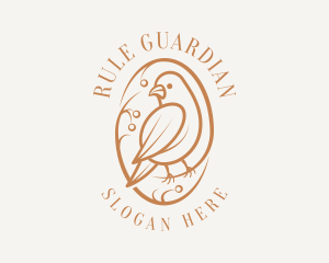 Bird Branch Aviary logo design