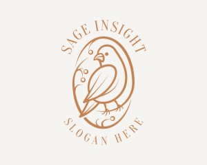 Bird Branch Aviary logo design