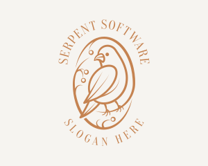 Bird Branch Aviary logo design