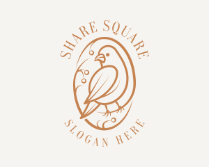 Bird Branch Aviary logo design