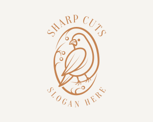 Bird Branch Aviary logo design