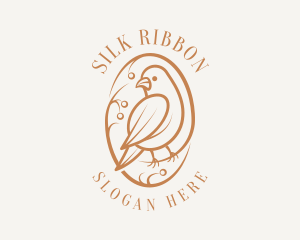 Bird Branch Aviary logo design