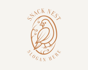 Bird Branch Aviary logo design