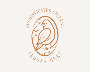 Bird Branch Aviary logo design