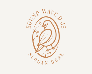 Bird Branch Aviary logo design