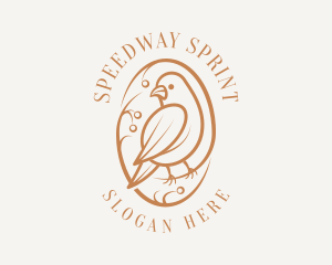 Bird Branch Aviary logo design