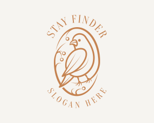 Bird Branch Aviary logo