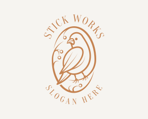 Bird Branch Aviary logo design