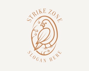 Bird Branch Aviary logo design