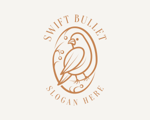 Bird Branch Aviary logo design