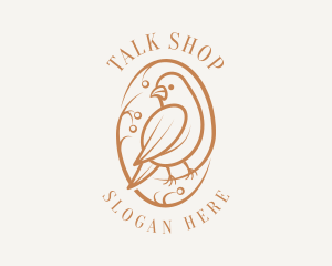 Bird Branch Aviary logo design