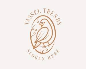 Bird Branch Aviary logo design