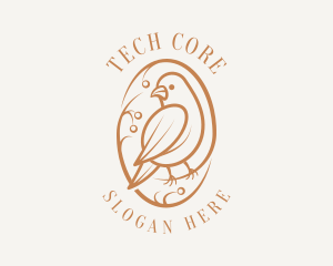 Bird Branch Aviary logo design