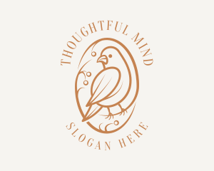 Bird Branch Aviary logo design