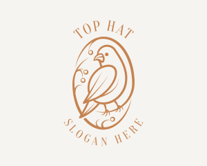 Bird Branch Aviary logo design