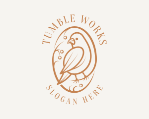 Bird Branch Aviary logo design