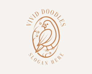 Bird Branch Aviary logo design