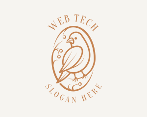 Bird Branch Aviary logo design