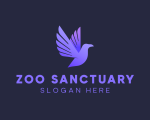 Zoo Flying Bird logo design