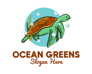 Wild Sea Turtle logo design