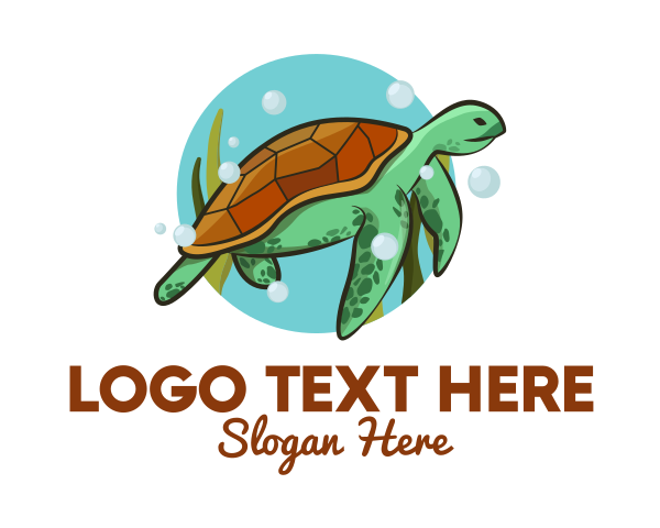 Turtle logo example 4