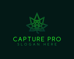 Marijuana Cannabis Leaf logo design