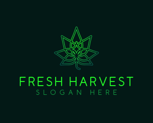 Marijuana Cannabis Leaf logo design