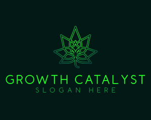 Marijuana Cannabis Leaf logo design