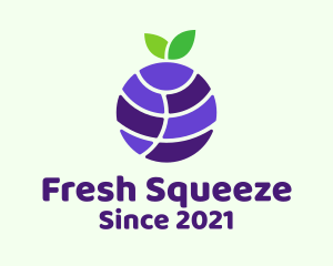 Blueberry Fruit Globe  logo design