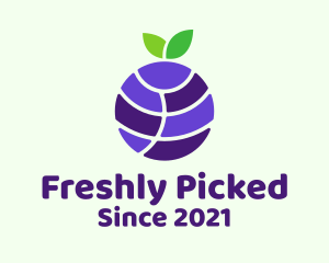 Blueberry Fruit Globe  logo design