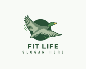 Flying Duck Bird logo