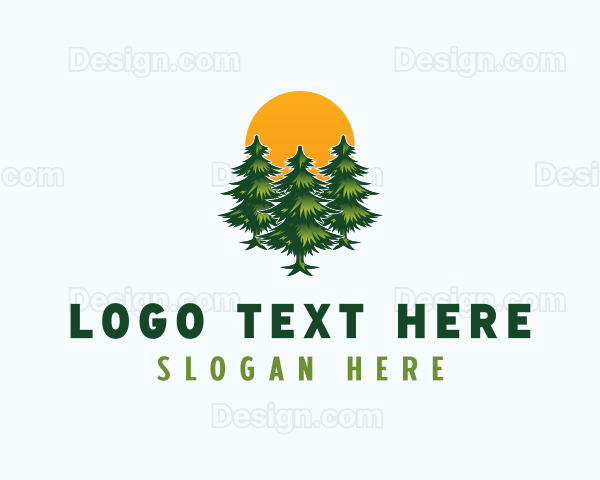 Pine Tree Forest Logo