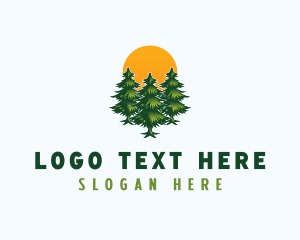 Pine Tree Forest logo