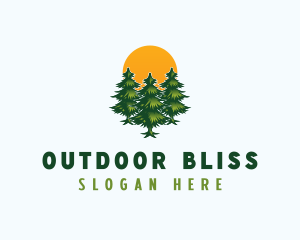 Pine Tree Forest logo design