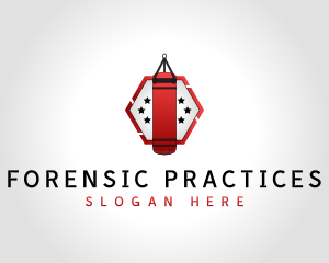 Boxing Training Workout logo