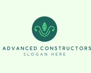 Green Organic Eco Leaf logo design