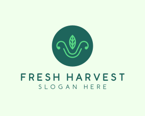 Green Organic Eco Leaf logo design