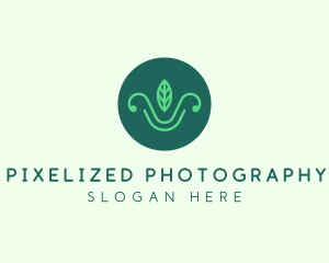 Green Organic Eco Leaf logo design