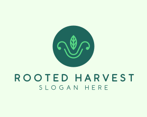 Green Organic Eco Leaf logo design