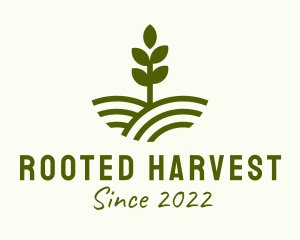 Seedling Farm Plant  logo design