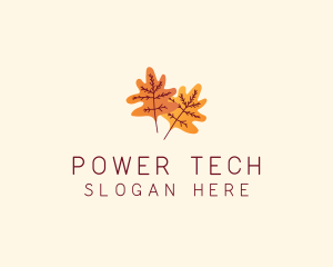 Autumn Season Leaves  Logo